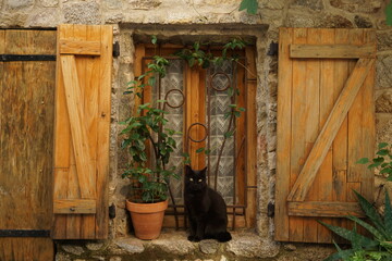 Black cat sitting on window sill of stone house with wooden window shutters im village in southern...