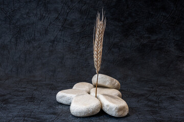 An ear of rye on white stones. Conceptual still life.