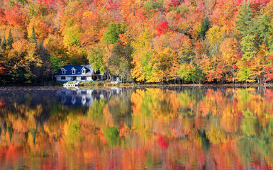 Autumn leaf color reflected on the lake in Mont Tremblant area, Quebec, Canad