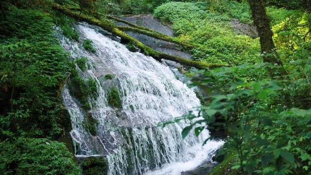 lan sa ded waterfall on kew mae pan nature trail which is a tropical rainforest, famous tourist attraction of Thai people.
