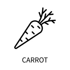 Line Icon Carrot In Simple Style. Vector sign in a simple style isolated on a white background.
