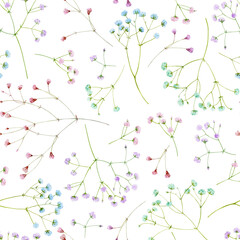 A delicate seamless pattern of gypsophila flowers of different colors. Watercolor illustration.
