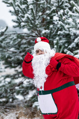 santa claus with a bag of gifts