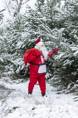 santa claus in the snowy forest, Merry Christmas