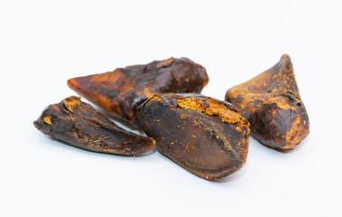 A treat for pets. Pork hoof on a white background, dried bone for cleaning dogs teeth.