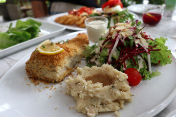 Grilled sea brass with crispy powder serving with fresh salad and mash potato