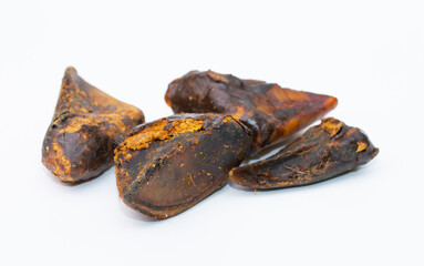 A treat for pets. Pork hoof on a white background, dried bone for cleaning dogs teeth.