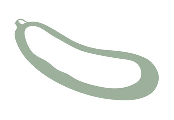 Zucchini gourd. Vector drawing icon