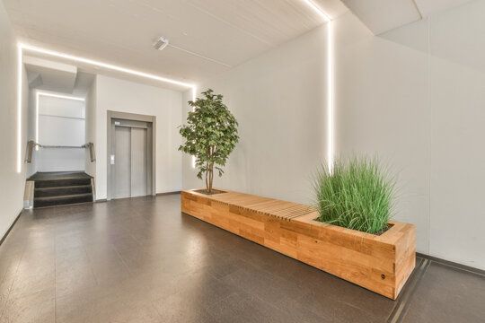 Corridor interior with potted plants
