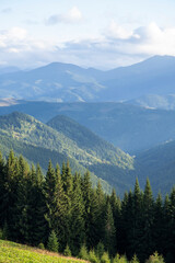 Beautiful autumn view of mountains covered coniferous forest. Great Smoky Mountains National Park, Ukraine. 