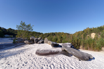 White sand of Fontainebleau in the french Gatinais regional nature park