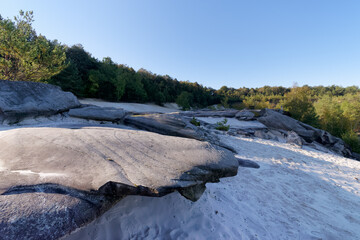 White sand of Fontainebleau in the french Gatinais regional nature park