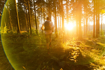 Rennsteig Läufer im goldenen Sonnenlicht inmitten der Natur, Fitness