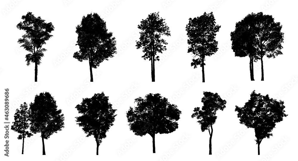 Poster set of trees silhouette for brush on white background