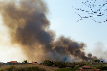 Rural scene with a lot of smoke in the sky caused by fire in the sugar cane plantation near properties