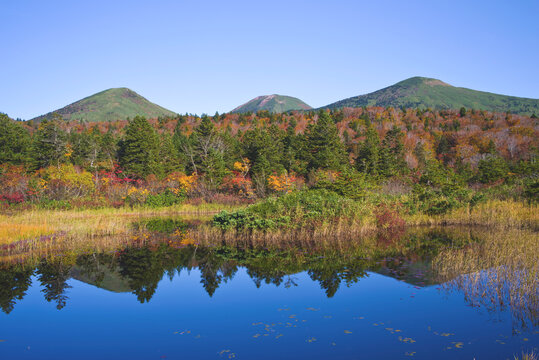 日本、青森県、睡蓮沼の紅葉 © YUICHI SUZUKI