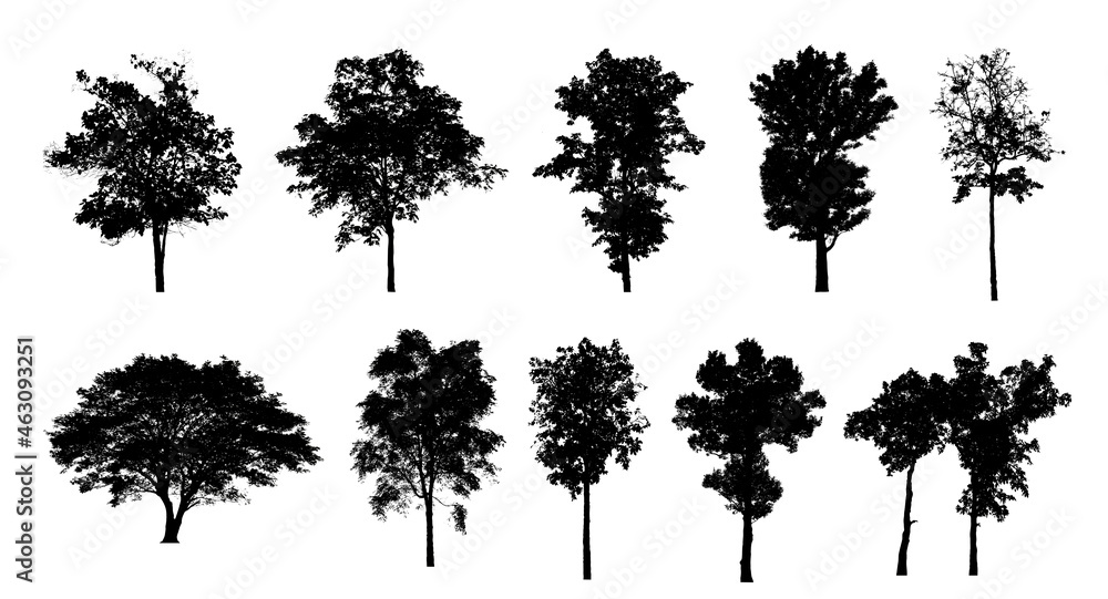 Poster set of trees silhouette for brush on white background