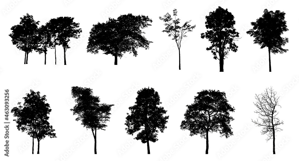 Poster set of trees silhouette for brush on white background