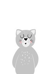 Grey cat