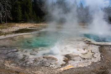 Spasmodic Geyser, Upper Geyser Basin, Yellowstone National Park, Wyoming, USA