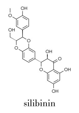Silibinin Bilder – Durchsuchen 600 Archivfotos, Vektorgrafiken und ...