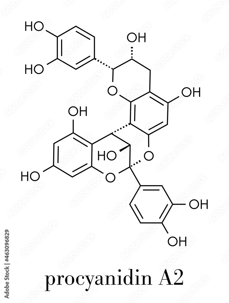 Wall mural Proanthocyanidin A2 (procyanidin A2, PAC A2) molecule. Present in cranberry (juice) and a number of other plants. Used in urinary tract infarction prevention. Skeletal formula.