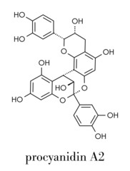 Fototapeta premium Proanthocyanidin A2 (procyanidin A2, PAC A2) molecule. Present in cranberry (juice) and a number of other plants. Used in urinary tract infarction prevention. Skeletal formula.