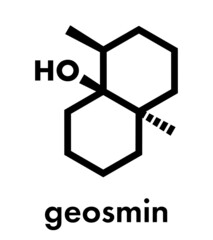 Geosmin earthy flavor molecule. Responsible for the typical taste of beetroot. Skeletal formula.