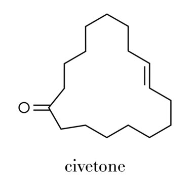 Civetone civet cat pheromone molecule. Used in perfume. Skeletal formula.
