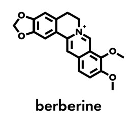 Berberine herbal medicine molecule. Skeletal formula.