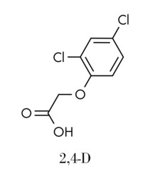 2,4-D (2,4-dichlorophenoxyacetic acid) Agent Orange ingredient. Synthetic auxin plant hormone, used as pesticide and herbicide and ingredient of Agent Orange. Skeletal formula.