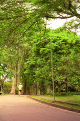 Sao Paulo, Brazil - October 10, 2021: Ibirapuera Park. People playing sports and walking through the green landscape of the park.