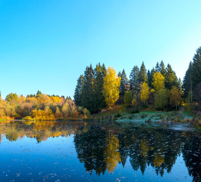 Autumn landscape with trees and lake © valeriy boyarskiy