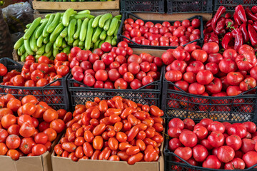 Close-up of different varieties of ripe tomatoes in boxes and a box of cucumbers, bell peppers on the market. Sale of seasonal vegetables