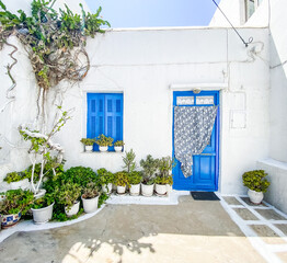 Typical greek front yard with white wall, blue door and lots of plants to decorate