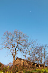 old house in the countryside