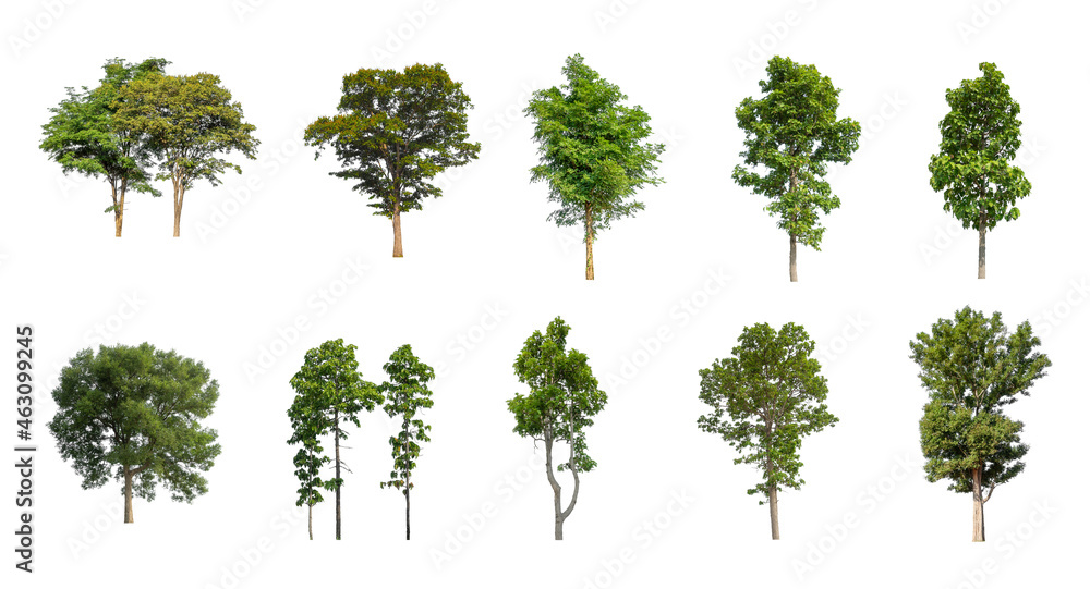Aufkleber set of isolated trees on white background , the collection of trees