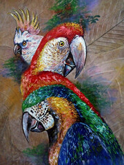 Art painting Acrylic color Macaw parrot  birds  , art harmony , Colorful painted
