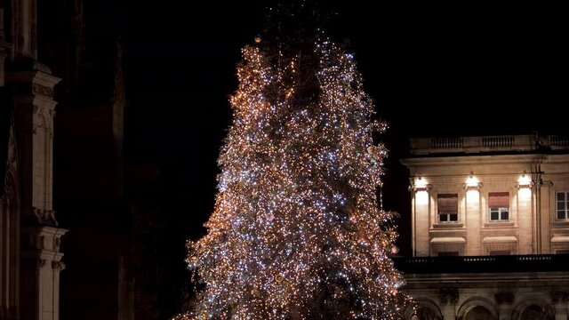 Giant christmas tree installed in front of the Bordeaux Cathedral and city hall during christmas at night