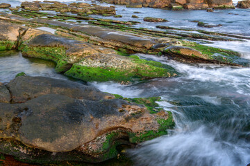 Fototapeta na wymiar Stone covered by algae lying on the seashore