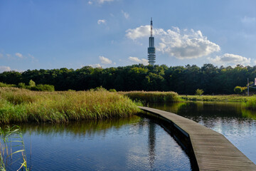 Hilversum nature reserve and transmitter mast. Board walk crossing a lake with clear reflections.