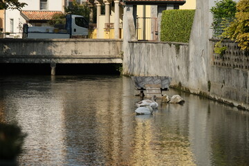 Il fosso che costeggia il centro storico della cittadina di Mozzanica in provincia di Bergamo.