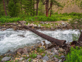 A log across a mountain stream, crossing the river. Scenic landscape with wooden bridge over mountain creek and wild mountain flora.