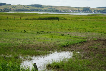 Fototapeta premium Impressionen auf der Ferieninsel Rügen