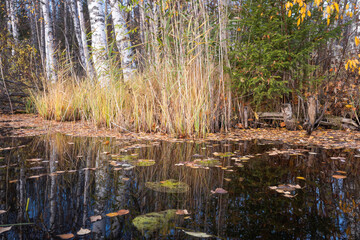 autumn landscape view of the autumn forest reflected in the lake with a blue evening sky with clouds