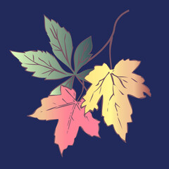 Vector - autumn leaves pattern.