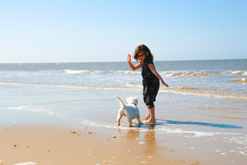 child girl, playing on the beach with white dog, british beach, british, summer, british summer, norfolk beach, cromer, child, playing, beach