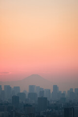 タワーホール船堀からの富士山