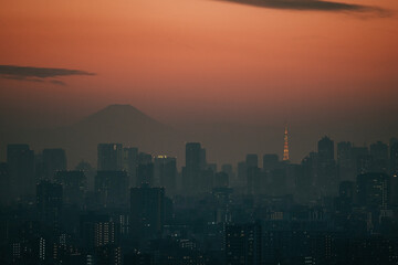 Fototapeta premium タワーホール船堀からの富士山