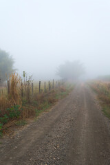 Fototapeta premium A rural road, plants, fences and a lot of fog.